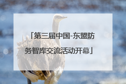 第三届中国-东盟防务智库交流活动开幕