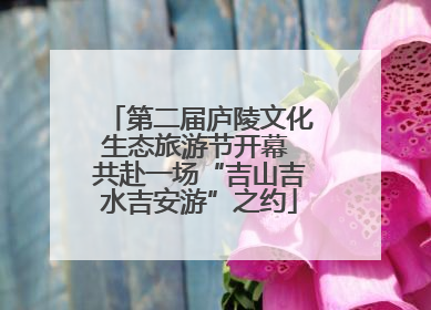 第二届庐陵文化生态旅游节开幕 共赴一场“吉山吉水吉安游”之约
