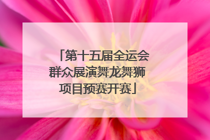 第十五届全运会群众展演舞龙舞狮项目预赛开赛