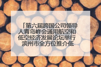 第六届跨国公司领导人青岛峰会通用航空和低空经济发展论坛举行 滨州市全方位推介低空经济发展优势