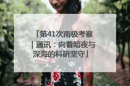 第41次南极考察｜通讯：向着暗夜与深海的科研坚守