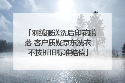羽绒服送洗后印花脱落 客户质疑京东洗衣不按折旧标准赔偿