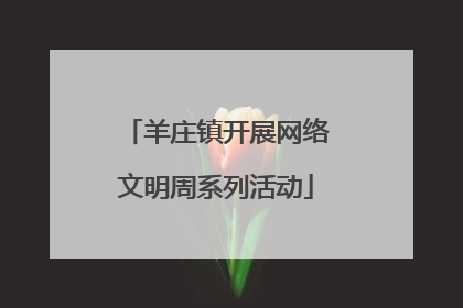 羊庄镇开展网络文明周系列活动