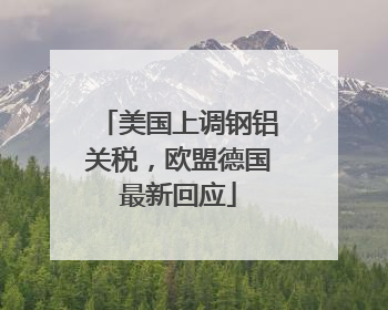 美国上调钢铝关税，欧盟德国最新回应