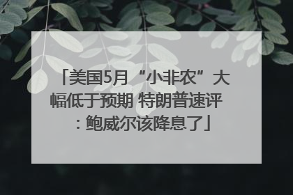 美国5月“小非农”大幅低于预期 特朗普速评：鲍威尔该降息了