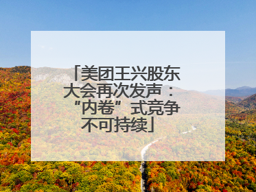 美团王兴股东大会再次发声：“内卷”式竞争不可持续
