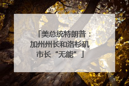 美总统特朗普：加州州长和洛杉矶市长“无能”
