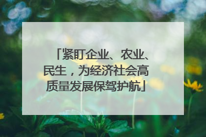 紧盯企业、农业、民生，为经济社会高质量发展保驾护航
