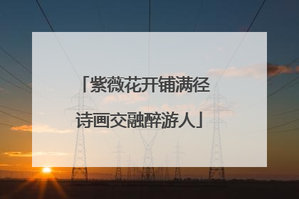 紫薇花开铺满径 诗画交融醉游人