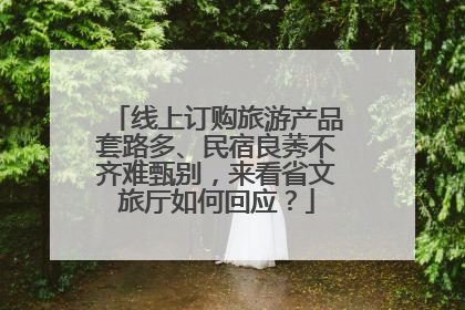 线上订购旅游产品套路多、民宿良莠不齐难甄别，来看省文旅厅如何回应？