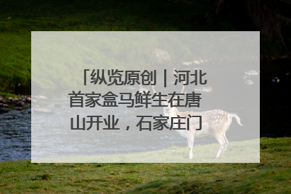 纵览原创｜河北首家盒马鲜生在唐山开业，石家庄门店预计8月开业
