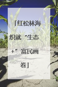 红松林海织就“生态+”富民画卷