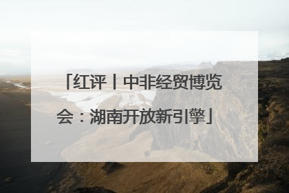 红评丨中非经贸博览会：湖南开放新引擎
