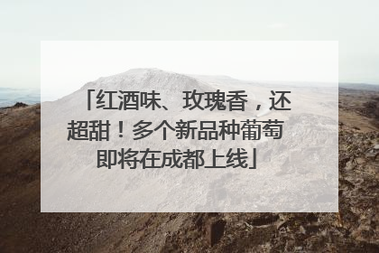 红酒味、玫瑰香，还超甜！多个新品种葡萄即将在成都上线