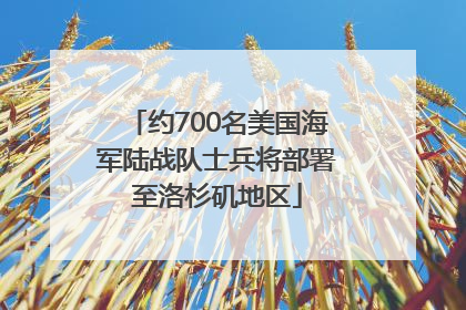 约700名美国海军陆战队士兵将部署至洛杉矶地区