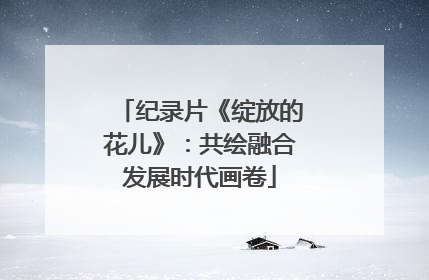 纪录片《绽放的花儿》：共绘融合发展时代画卷