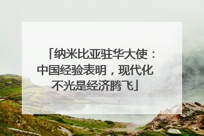 纳米比亚驻华大使：中国经验表明，现代化不光是经济腾飞