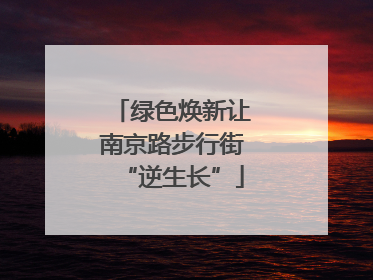 绿色焕新让南京路步行街“逆生长”