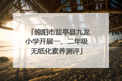 绵阳市盐亭县九龙小学开展一、二年级无纸化素养测评