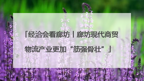 经洽会看廊坊丨廊坊现代商贸物流产业更加“筋强骨壮”