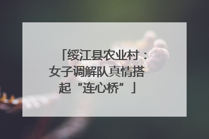 绥江县农业村：女子调解队真情搭起“连心桥”