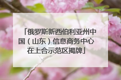 俄罗斯新西伯利亚州中国（山东）信息商务中心在上合示范区揭牌