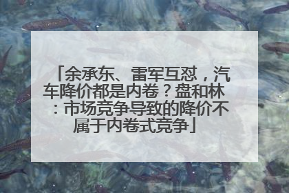 余承东、雷军互怼，汽车降价都是内卷？盘和林：市场竞争导致的降价不属于内卷式竞争