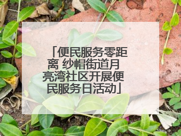 便民服务零距离 纱帽街道月亮湾社区开展便民服务日活动