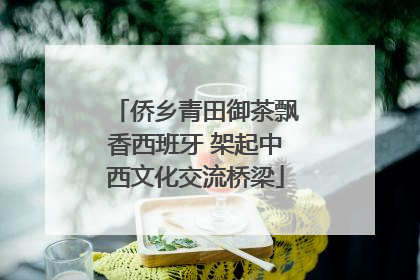 侨乡青田御茶飘香西班牙 架起中西文化交流桥梁