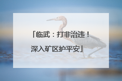 临武：打非治违！深入矿区护平安