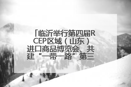 临沂举行第四届RCEP区域（山东）进口商品博览会、共建“一带一路”第三届临沂商城国际采购商大会新闻发布会