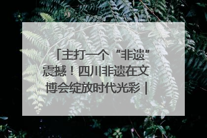 主打一个“非遗”震撼！四川非遗在文博会绽放时代光彩｜文博向“新”