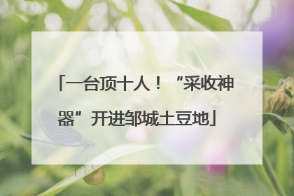 一台顶十人！“采收神器”开进邹城土豆地