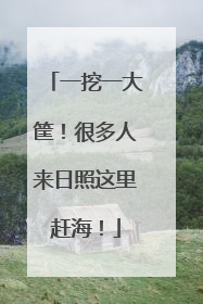 一挖一大筐！很多人来日照这里赶海！