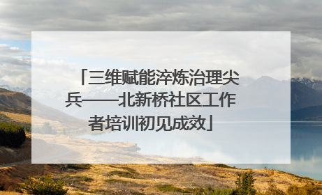 三维赋能淬炼治理尖兵——北新桥社区工作者培训初见成效