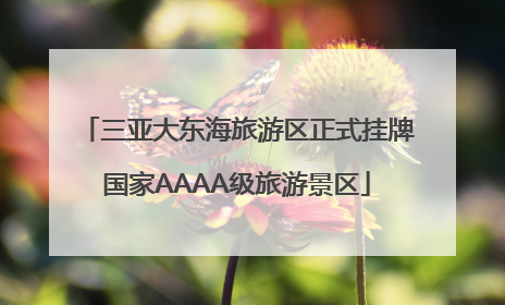 三亚大东海旅游区正式挂牌国家AAAA级旅游景区