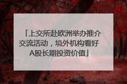 上交所赴欧洲举办推介交流活动，境外机构看好A股长期投资价值