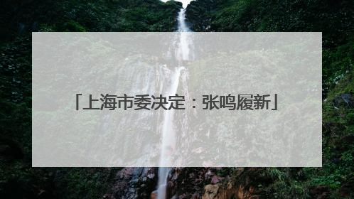 上海市委决定：张鸣履新