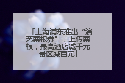 上海浦东推出“演艺票根券”，上传票根，最高酒店减千元景区减百元