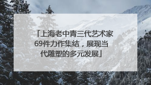 上海老中青三代艺术家69件力作集结，展现当代雕塑的多元发展