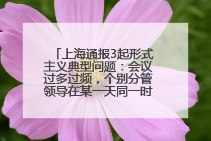 上海通报3起形式主义典型问题：会议过多过频，个别分管领导在某一天同一时段需参加3个会议