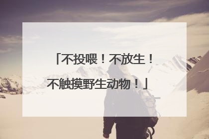 不投喂！不放生！不触摸野生动物！
