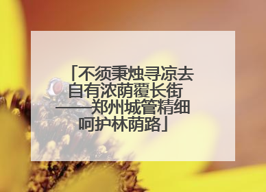 不须秉烛寻凉去 自有浓荫覆长街——郑州城管精细呵护林荫路