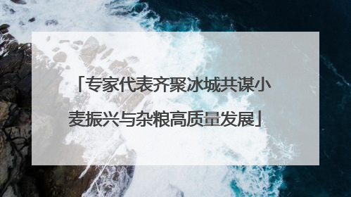 专家代表齐聚冰城共谋小麦振兴与杂粮高质量发展