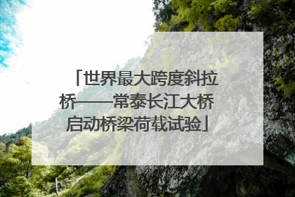 世界最大跨度斜拉桥——常泰长江大桥启动桥梁荷载试验