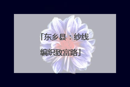 东乡县：纱线编织致富路