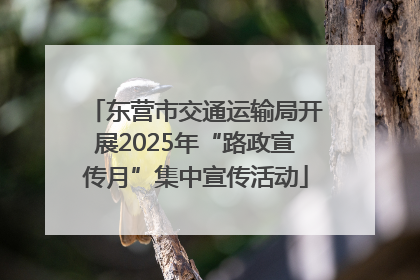 东营市交通运输局开展2025年“路政宣传月”集中宣传活动