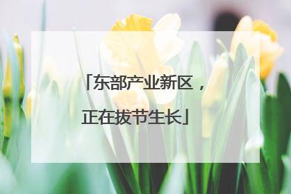 东部产业新区，正在拔节生长