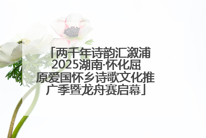 两千年诗韵汇溆浦 2025湖南·怀化屈原爱国怀乡诗歌文化推广季暨龙舟赛启幕