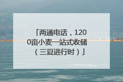 两通电话，1200亩小麦一站式收储（三夏进行时）